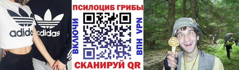 Галлюциногенные грибы прущие грибы  Среднеколымск 